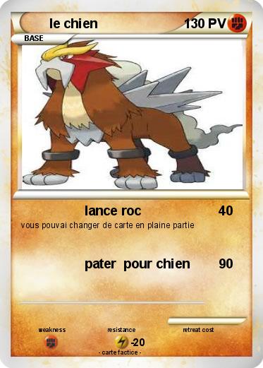 Pokemon le chien