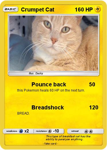 Pokemon Crumpet Cat