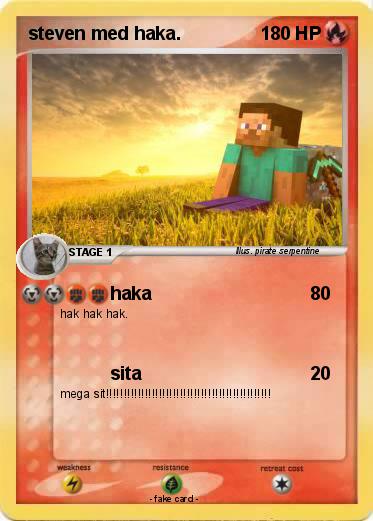 Pokemon steven med haka.