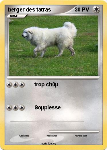 Pokemon berger des tatras