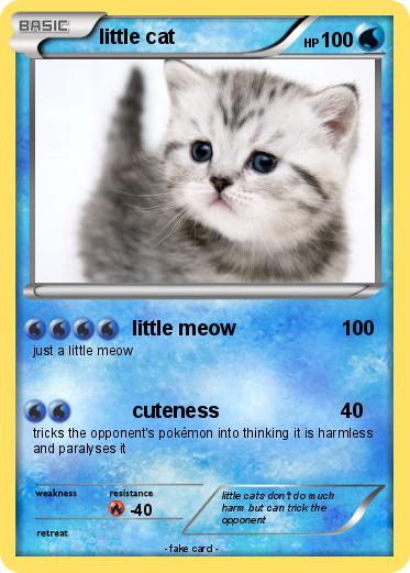 Pokemon little cat