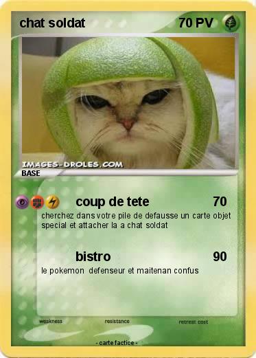 Pokemon chat soldat