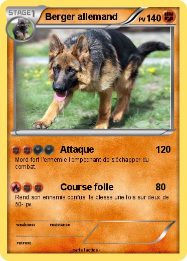 Pokemon Berger allemand