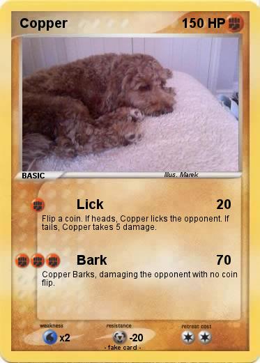 Pokemon Copper