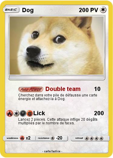 Pokemon Dog