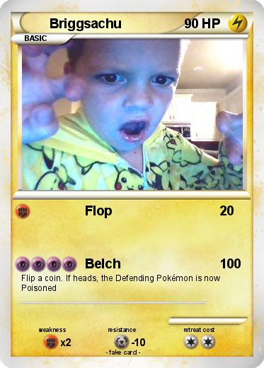 Pokemon Briggsachu