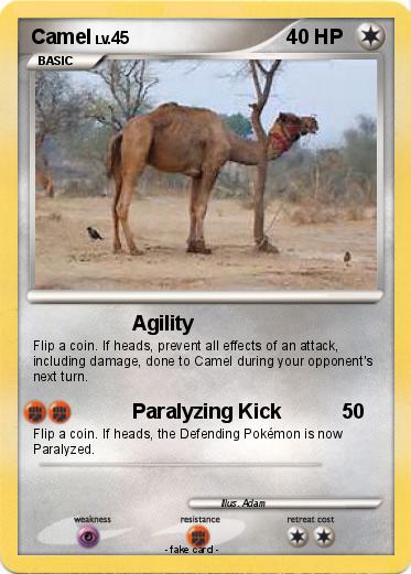 Pokemon Camel