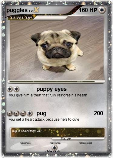 Pokemon puggles