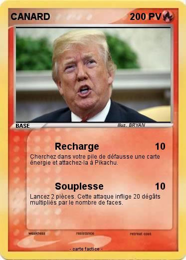 Pokemon CANARD
