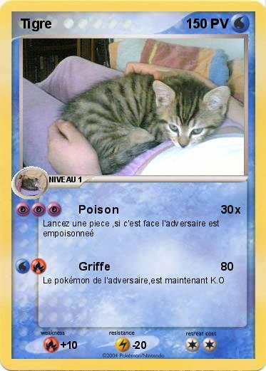 Pokemon Tigre