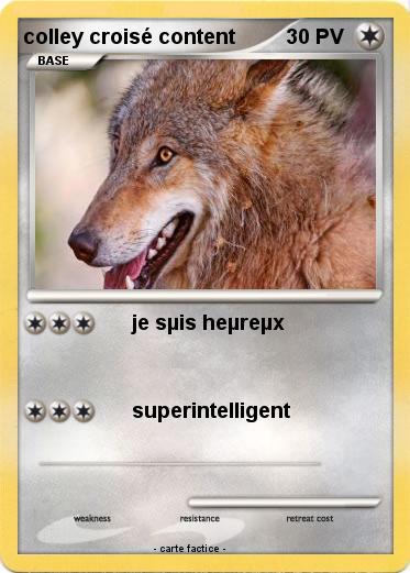 Pokemon colley croisé content