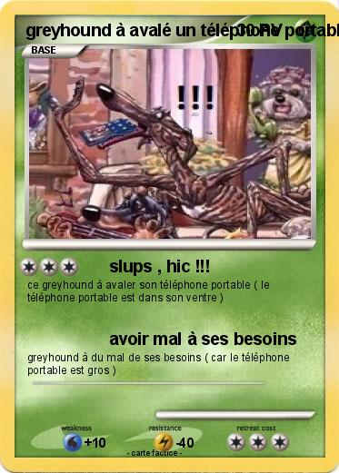 Pokemon greyhound à avalé un téléphone portable