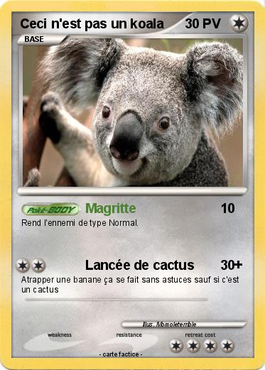 Pokemon Ceci n'est pas un koala