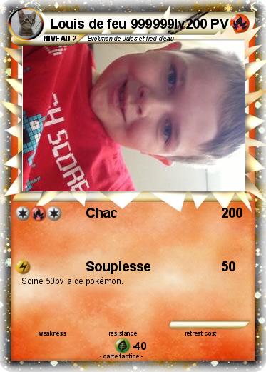 Pokemon Louis de feu 999999lv