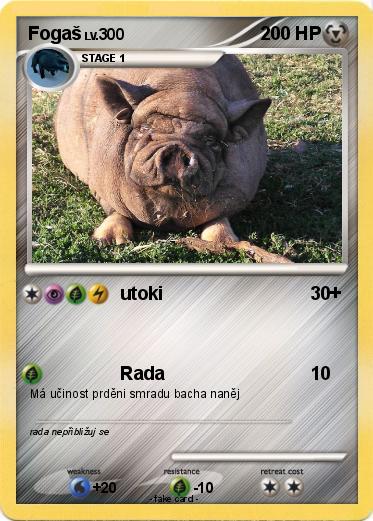 Pokemon Fogaš