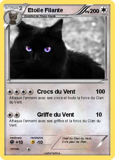 Pokemon Etoile Filante
