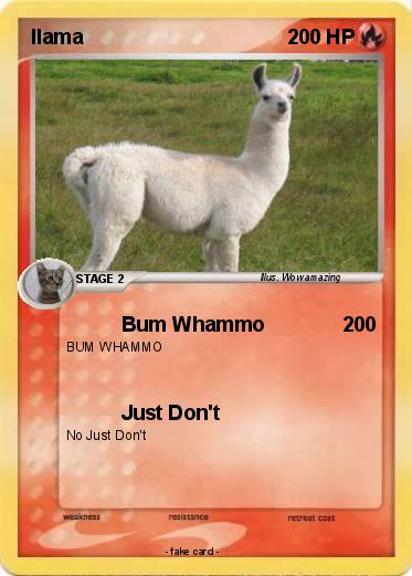 Pokemon llama
