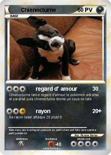 Pokemon Chienocturne