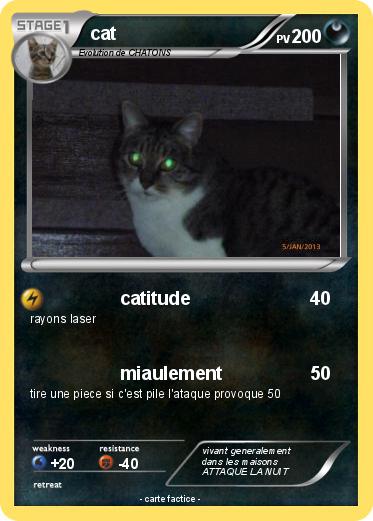 Pokemon cat