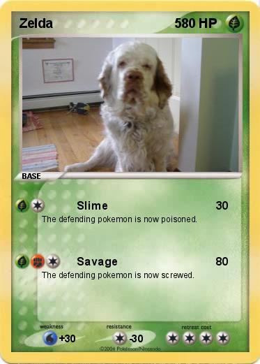 Pokemon Zelda                                  5