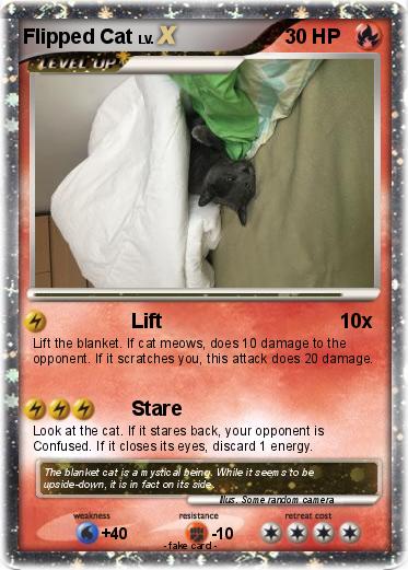 Pokemon Flipped Cat