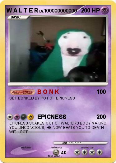 Pokemon W A L T E R