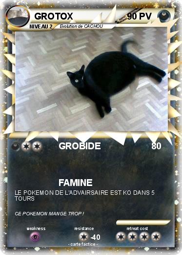 Pokemon GROTOX