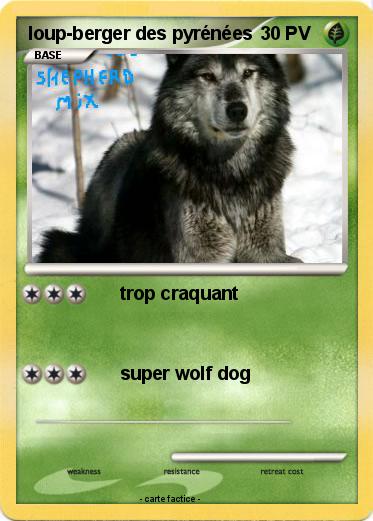 Pokemon loup-berger des pyrénées