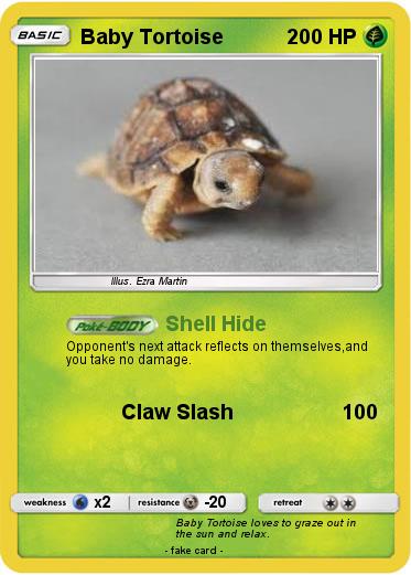 Pokemon Baby Tortoise