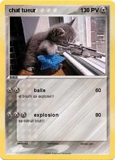 Pokemon chat tueur