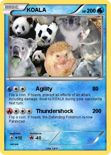Pokemon KOALA