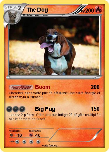 Pokemon The Dog