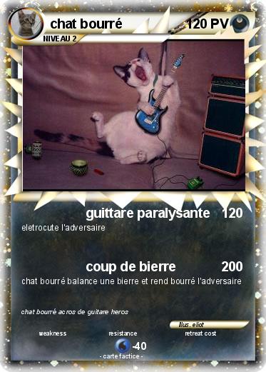 Pokemon chat bourré