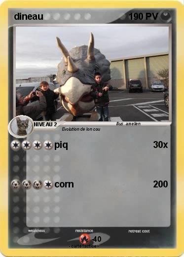 Pokemon dineau