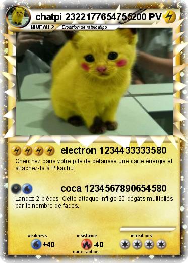 Pokemon chatpi 2322177654755