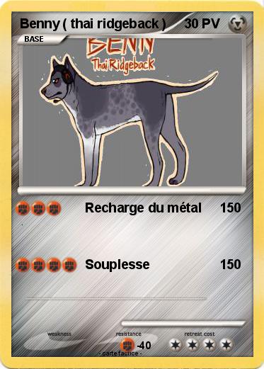 Pokemon Benny ( thai ridgeback )