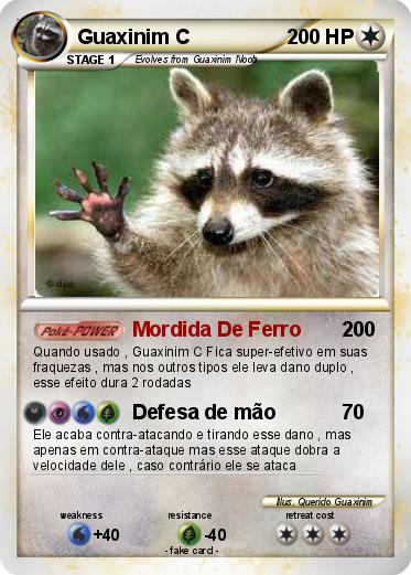 Pokemon Guaxinim C