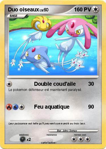 Pokemon Duo oiseaux