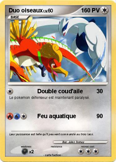 Pokemon Duo oiseaux
