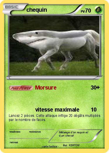 Pokemon chequin