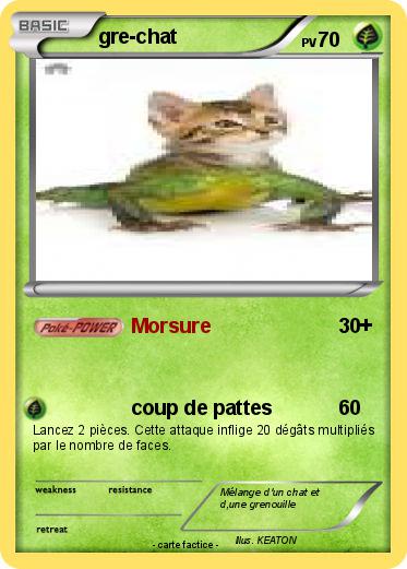 Pokemon gre-chat