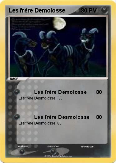 Pokemon Les frère Demolosse