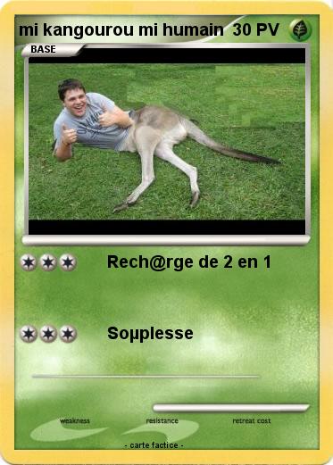 Pokemon mi kangourou mi humain