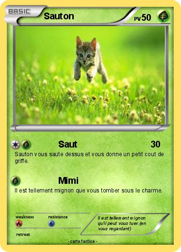 Pokemon Sauton