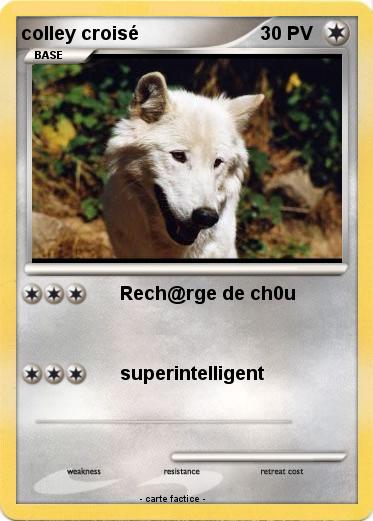 Pokemon colley croisé