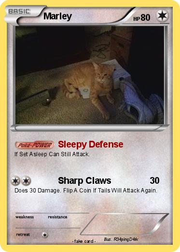 Pokemon Marley