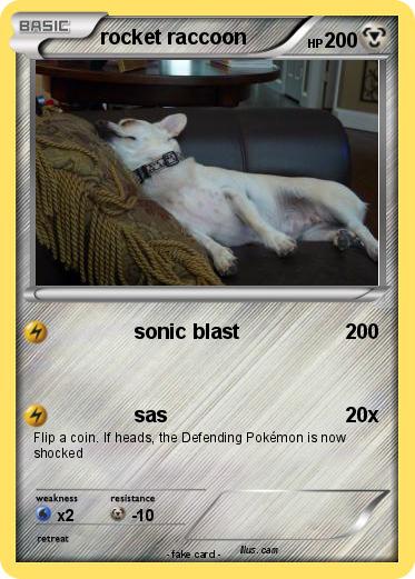 Pokemon rocket raccoon