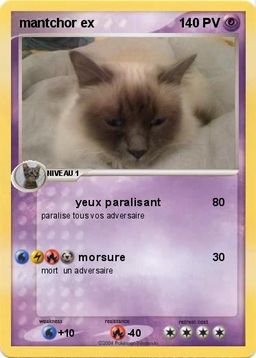 Pokemon mantchor ex