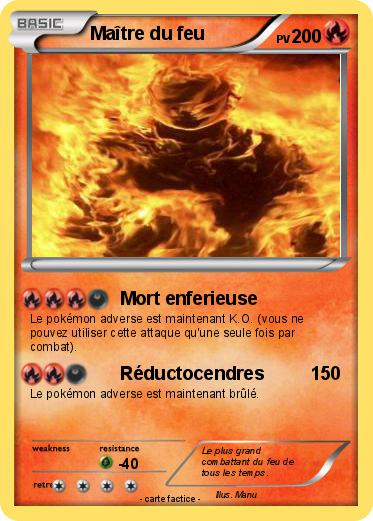 Pokemon Maître du feu