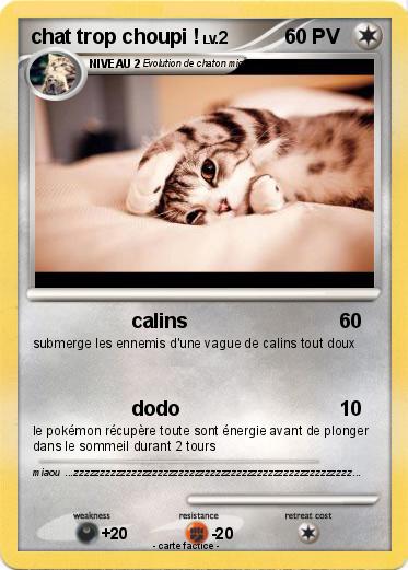 Pokemon chat trop choupi !